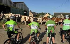 Cyclos : des objectifs parasités par un troupeau